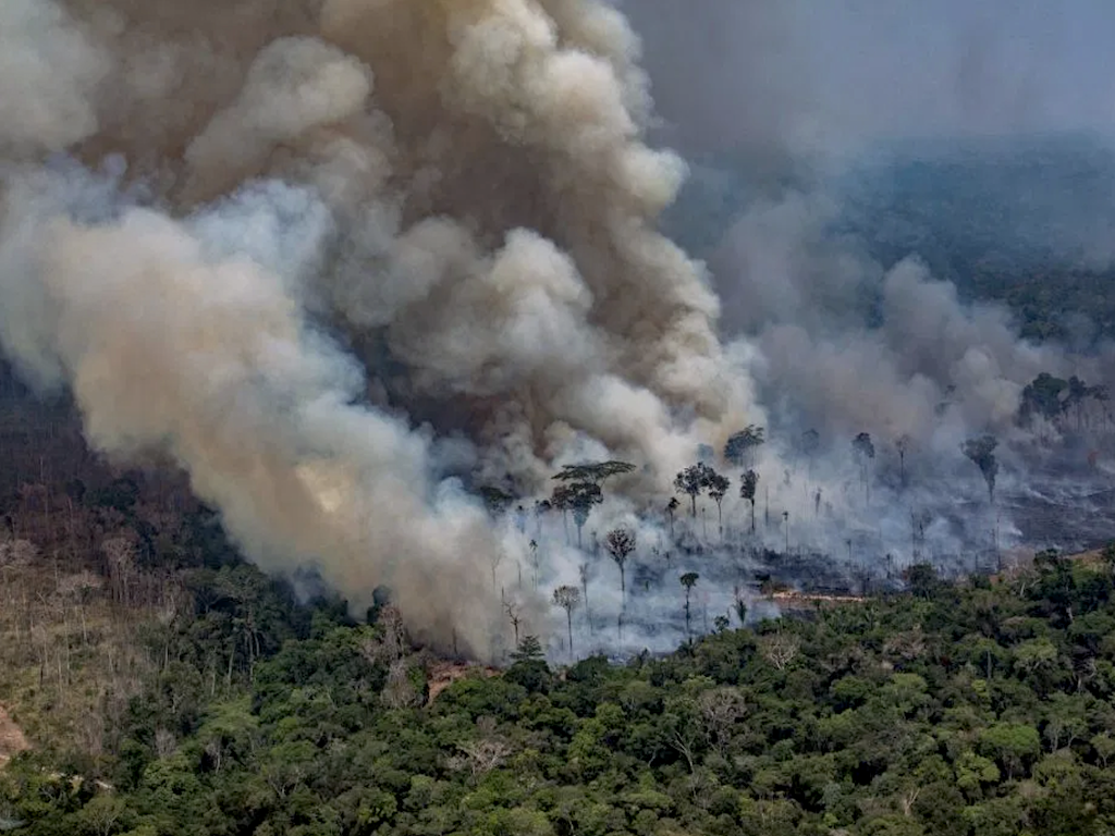 https://regeneratetheeconomy.com/wp-content/uploads/2022/03/AFP-deforestation-amazon.png