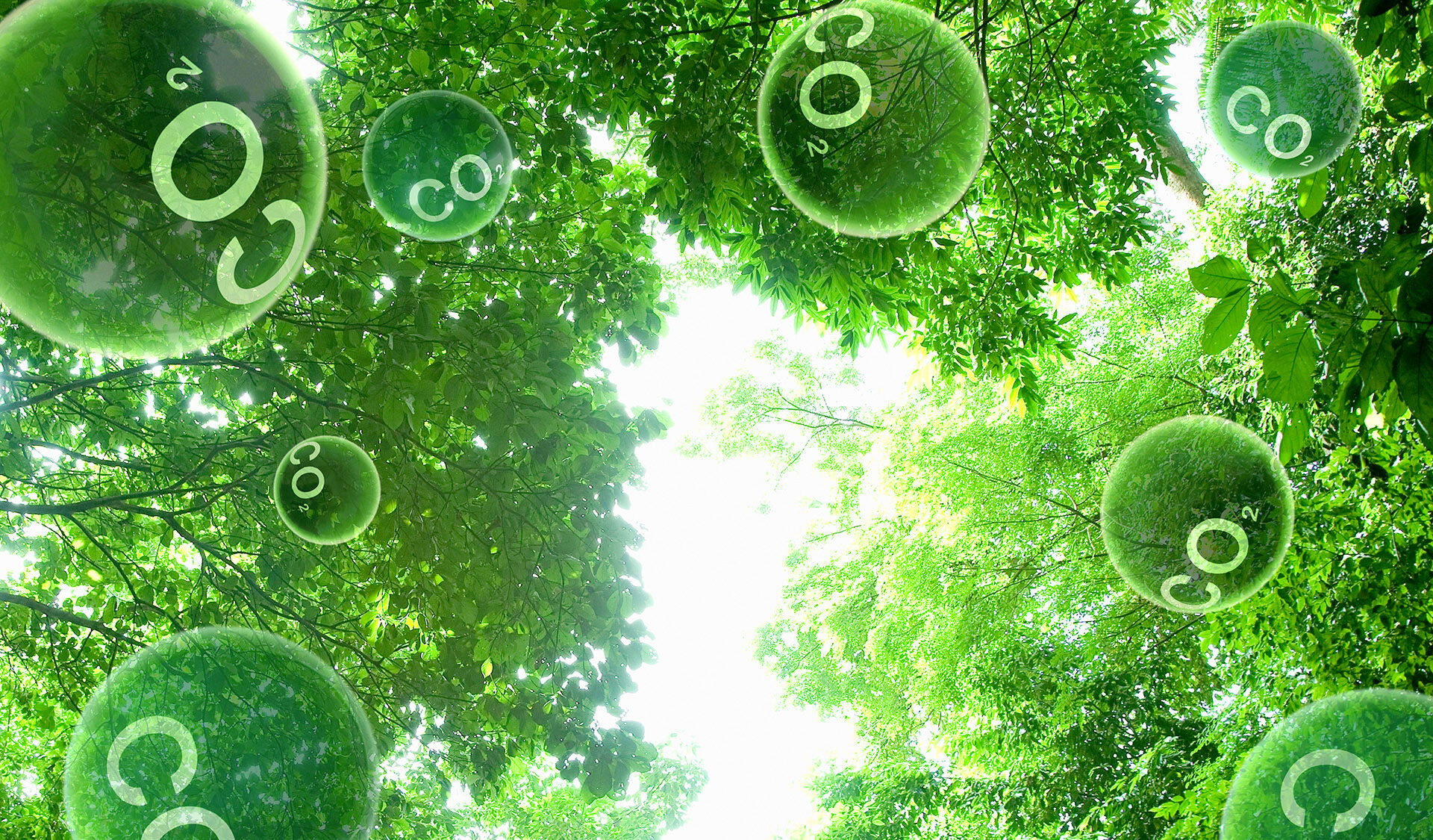 ISO 14091 Climate Impact & Risk Mitigation. Managed within your ISO 9001:2015 management cycle