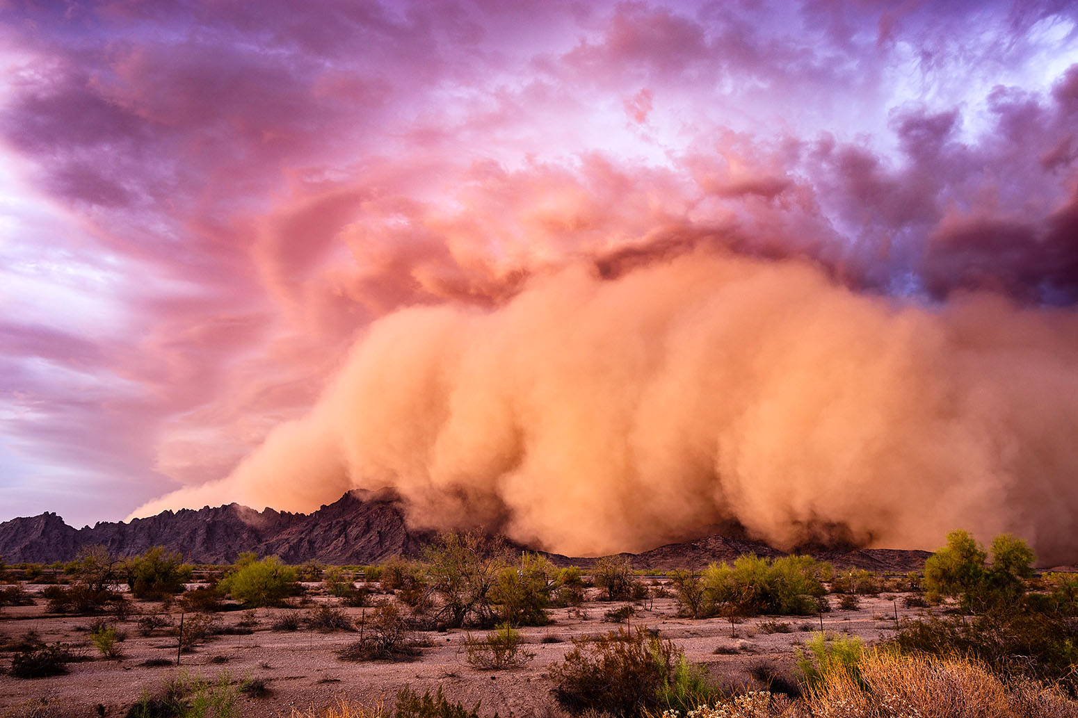 T0TRCA A Haboob dust storm rolls over the Mohawk Mountains ahead of a monsoon thunderstorm near Tacna, Arizona on July 9th, 2018.